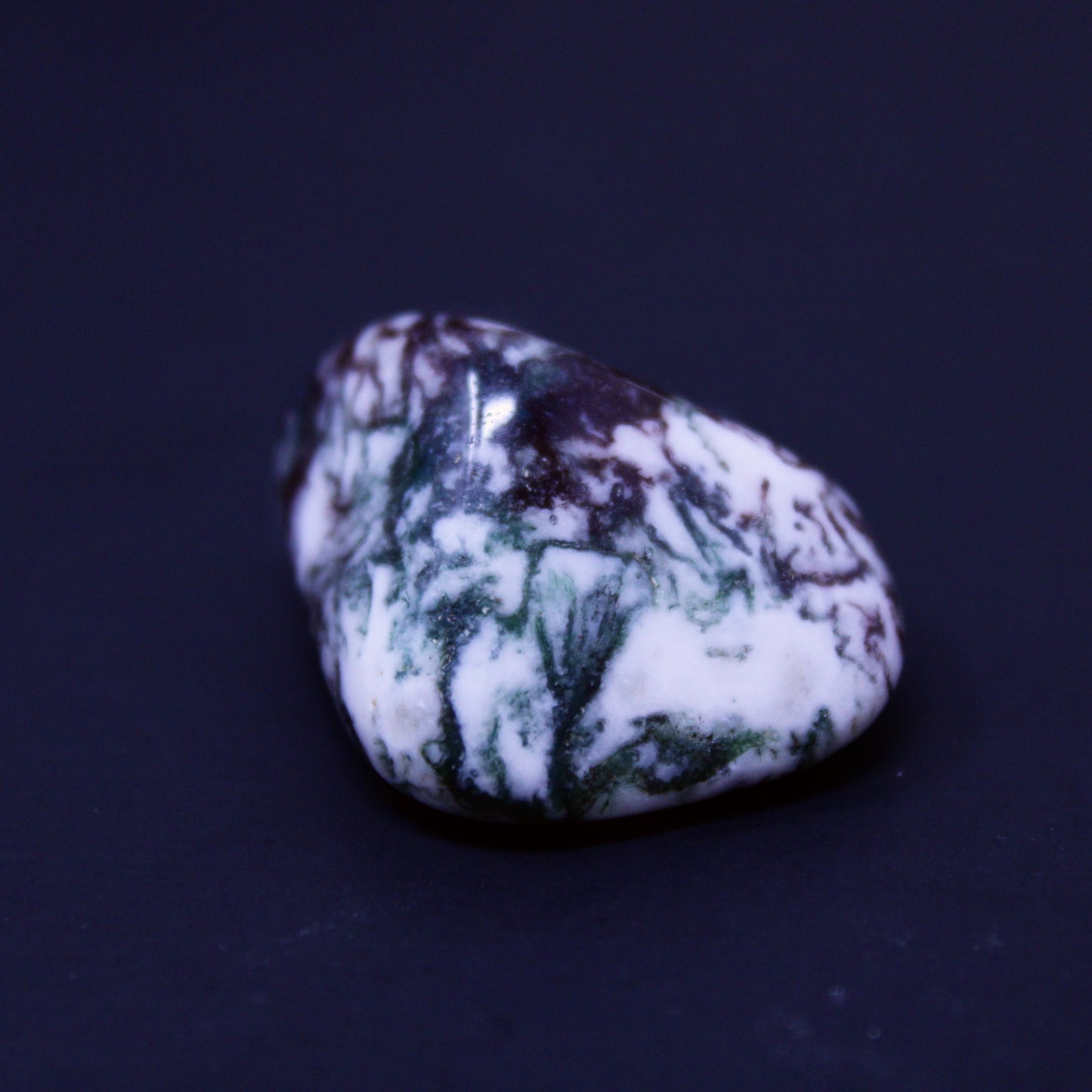 Tree Lace Agate