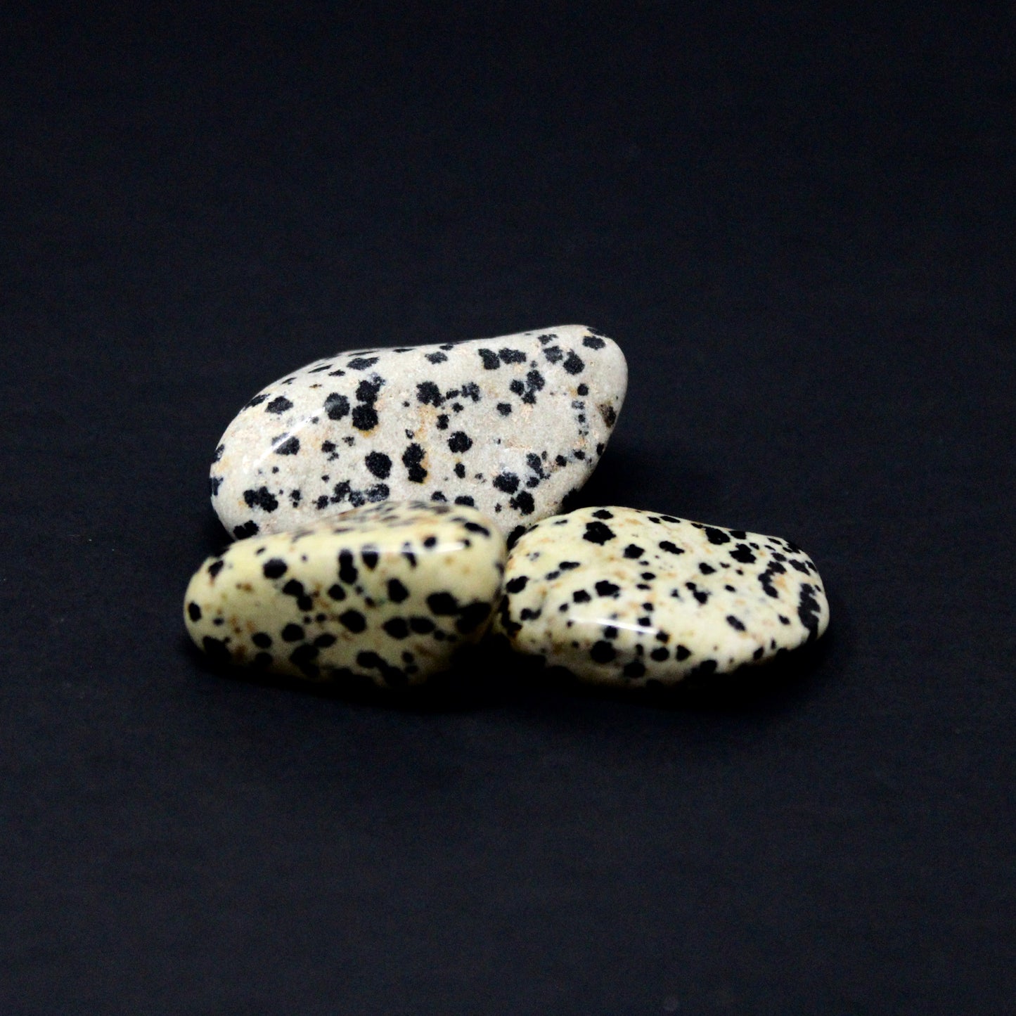 Dalmatian Jasper